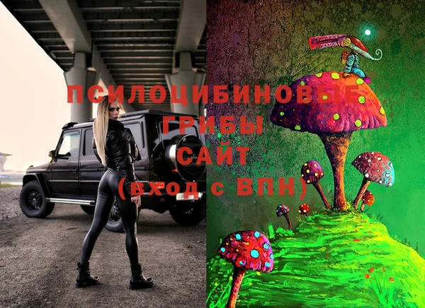 альфа пвп Гусев