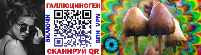 Галлюциногенные грибы прущие грибы  Купить закладки  Фокино 